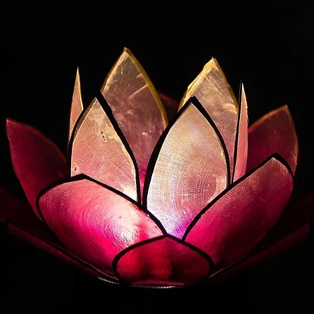 Pink Lotus Apartment Vienne Extérieur photo